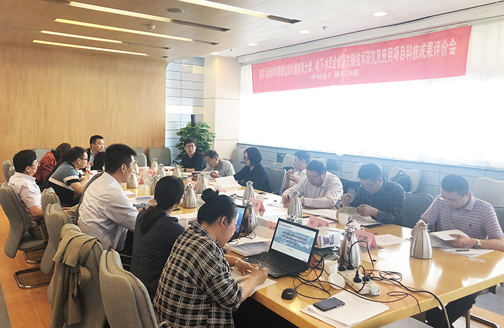 有机污染地块精细化综合勘查和土壤、地下水联合修复关键技术研究及应用 anli.jpg